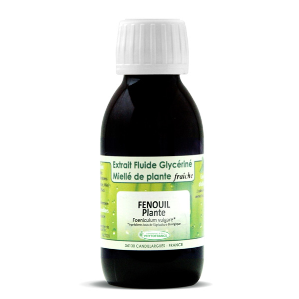 🌿 Fenouil (Foeniculum vulgare)