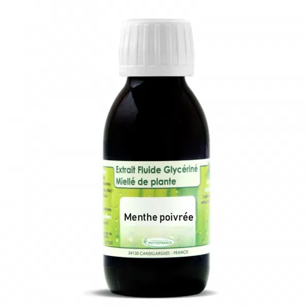 🌱 Menthe poivrée (Mentha Piperita)