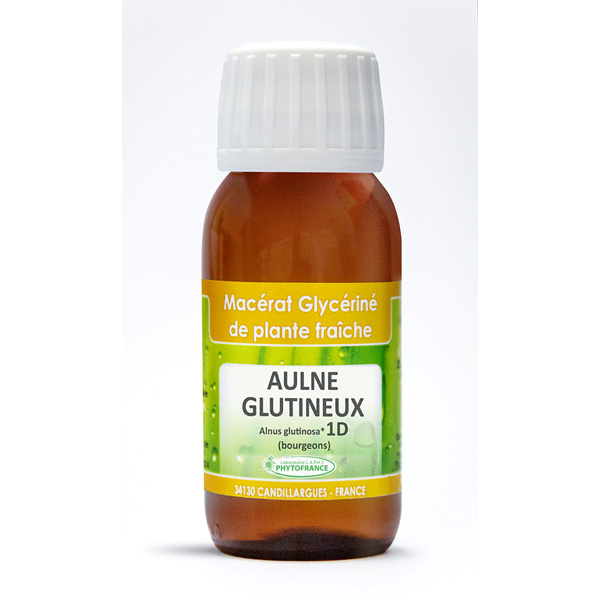 Aulne Glutineux