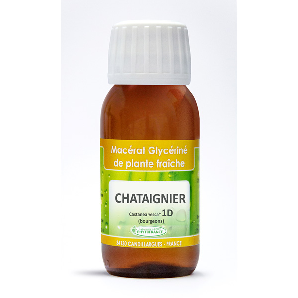🌱 Châtaignier (Castanea vesca) – Bourgeons 1DH