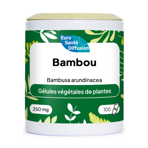🎋 Bambou