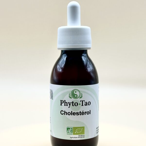 🌱 Cholestérol