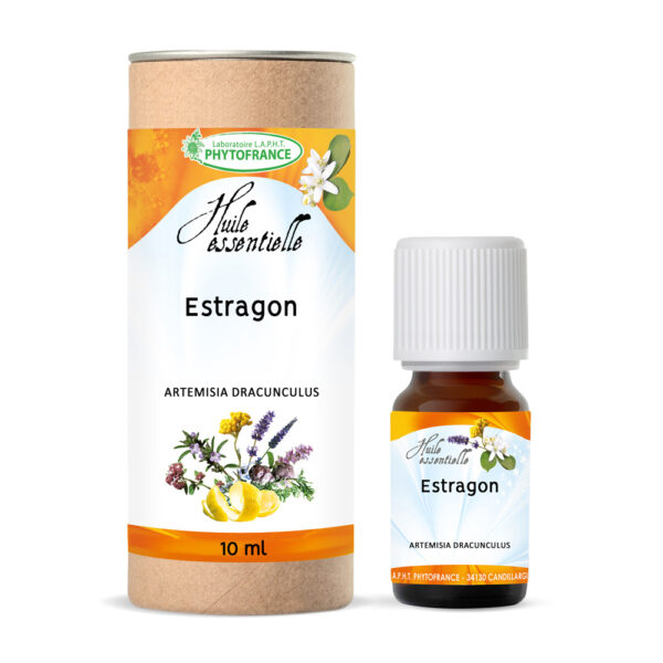 🌱 Estragon (Artemisia dracunculus)
