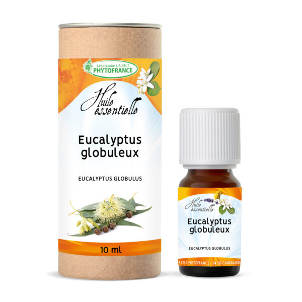 Eucalyptus globuleux_BIO