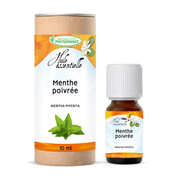 🌱 Menthe poivrée (Mentha piperita)