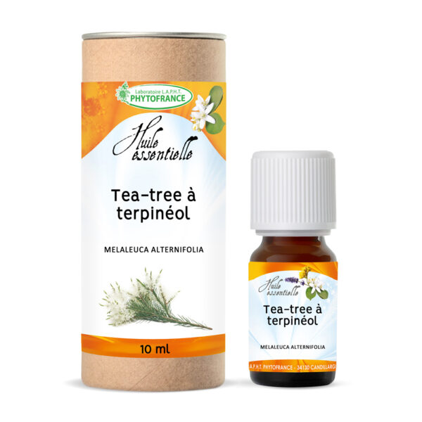 🌱 Tea tree à terpinéole (Melaleuca alternifolia)