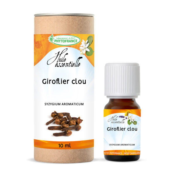 🌱 Giroflier clou (Syzygium aromaticum)