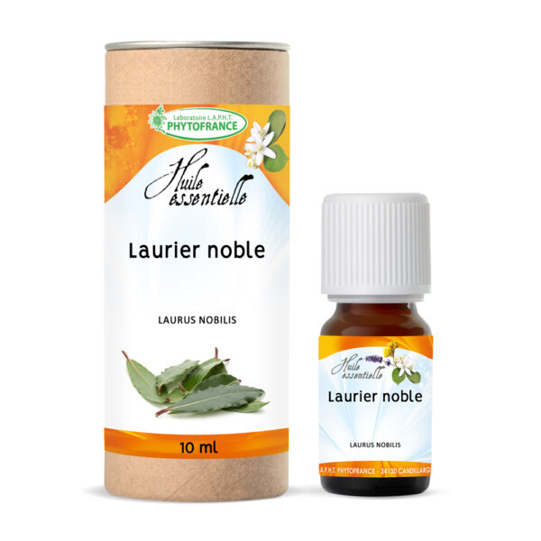 🌱 Laurier noble (Laurus nobilis)