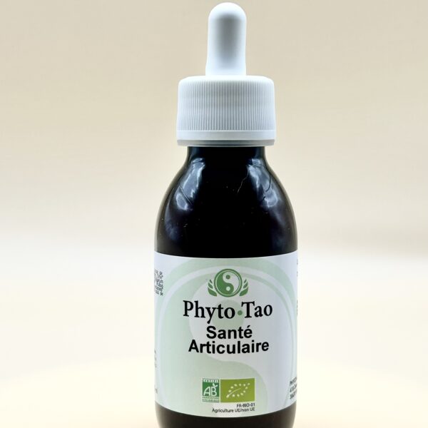 🌿 Santé Articulaire