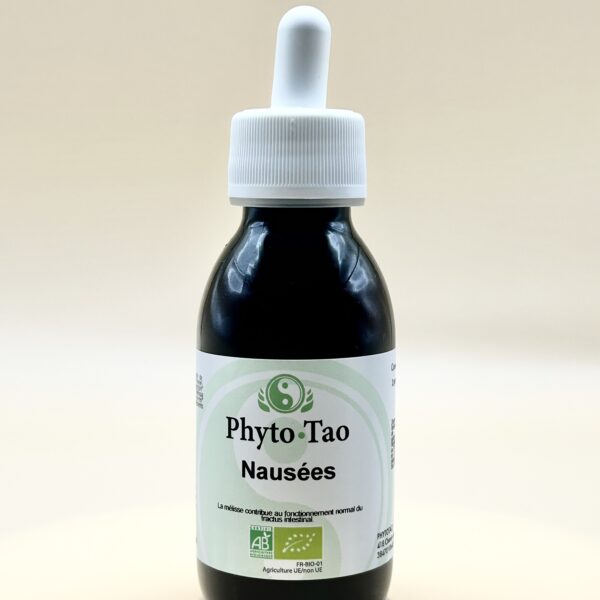 🌿 Nausées